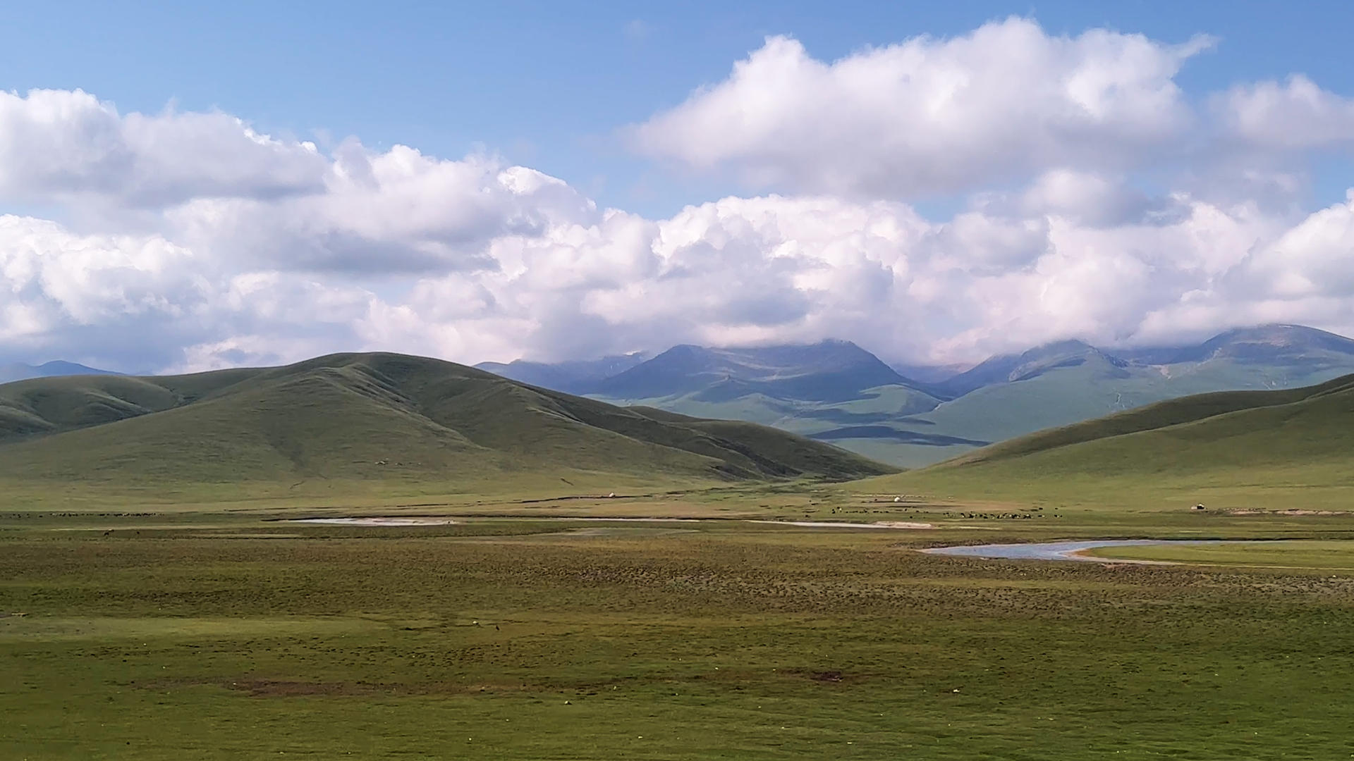 新疆旅游5A喀纳斯草原自然风光4k素材视频的预览图
