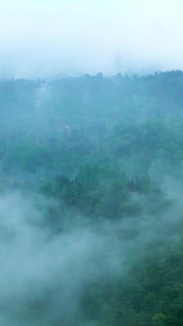 峨眉山航拍云雾缭绕河流美景弥漫视频的预览图