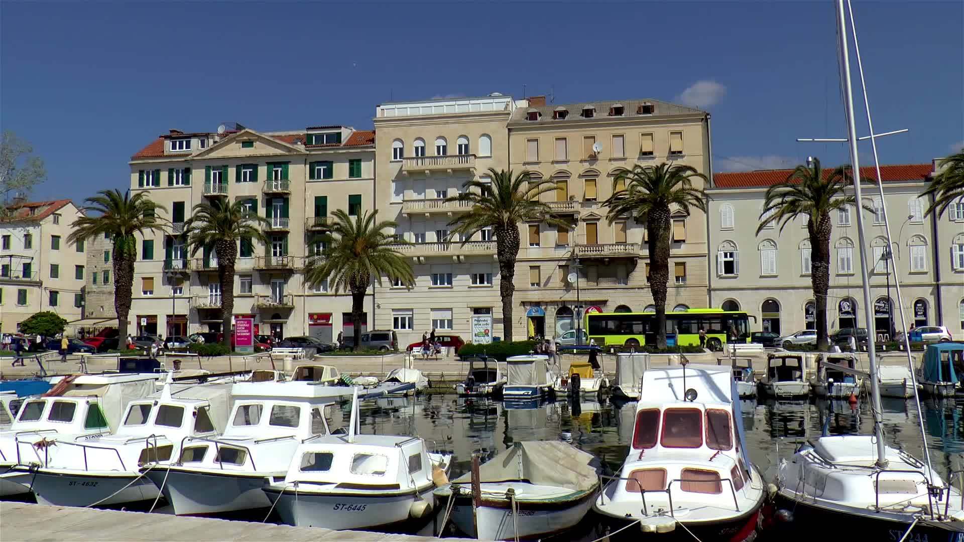 分裂的城市里有船和海枣树视频的预览图