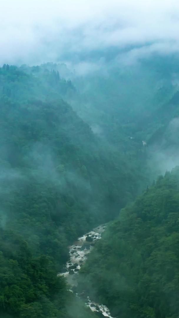 峨眉山航拍云雾缭绕河流美景弥漫视频的预览图