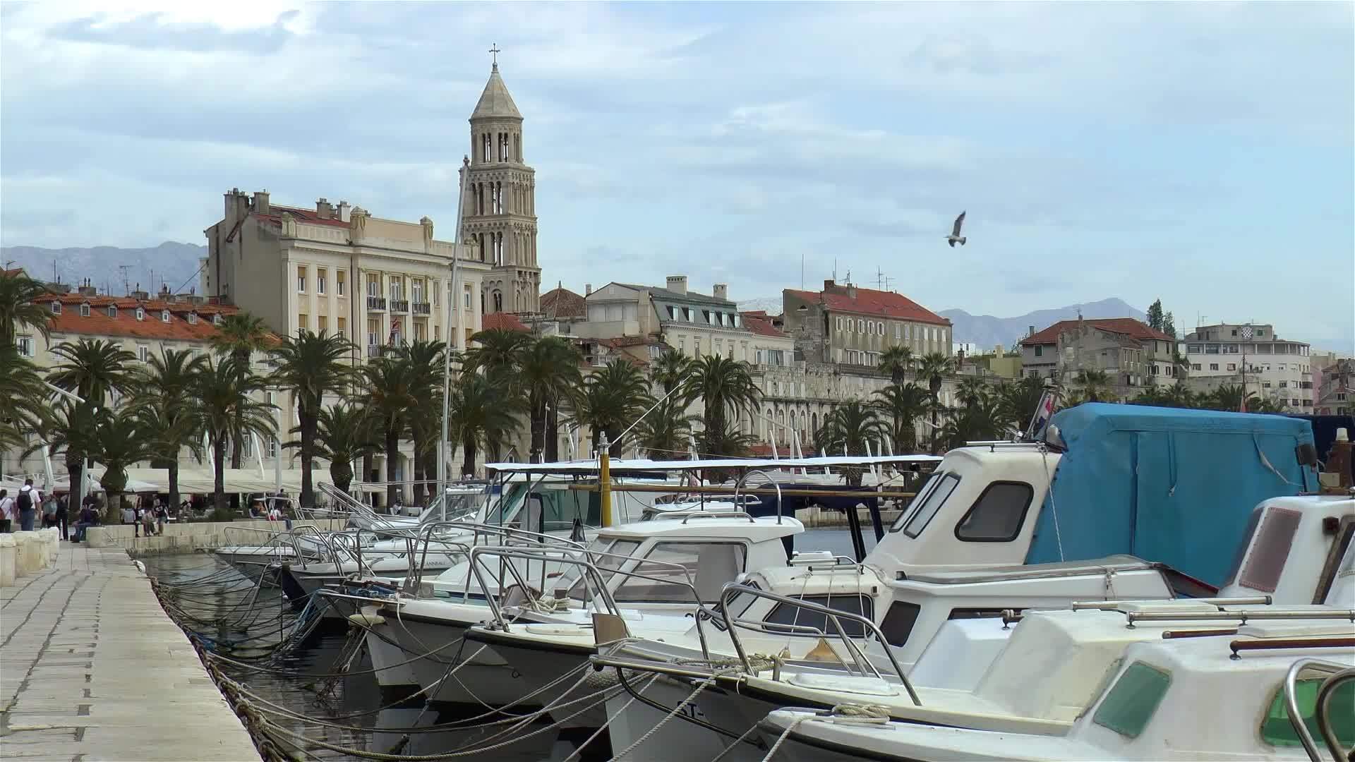 人船和棕榈树在分裂的城市croatia视频的预览图