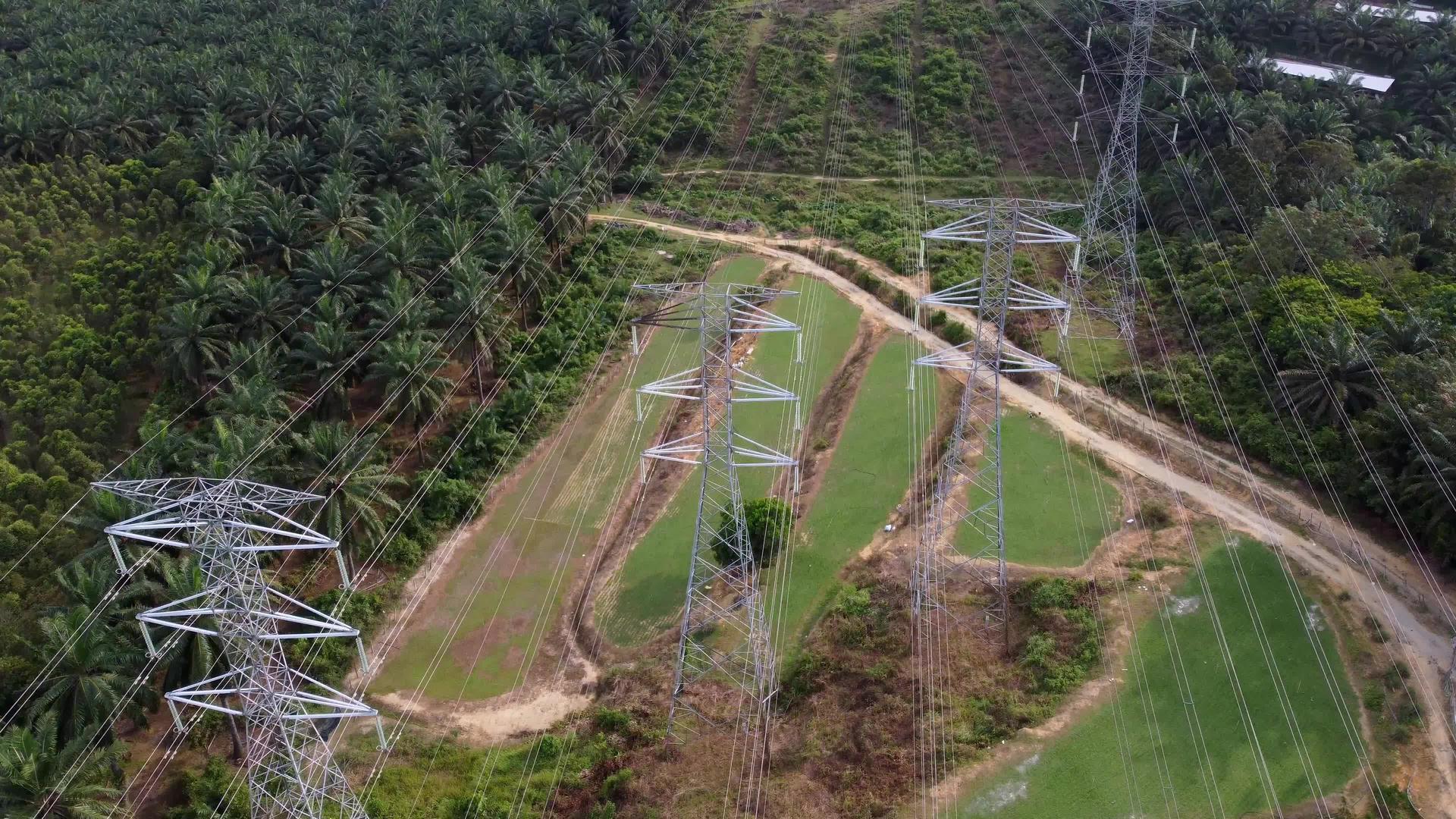 电线结构绿地视频的预览图