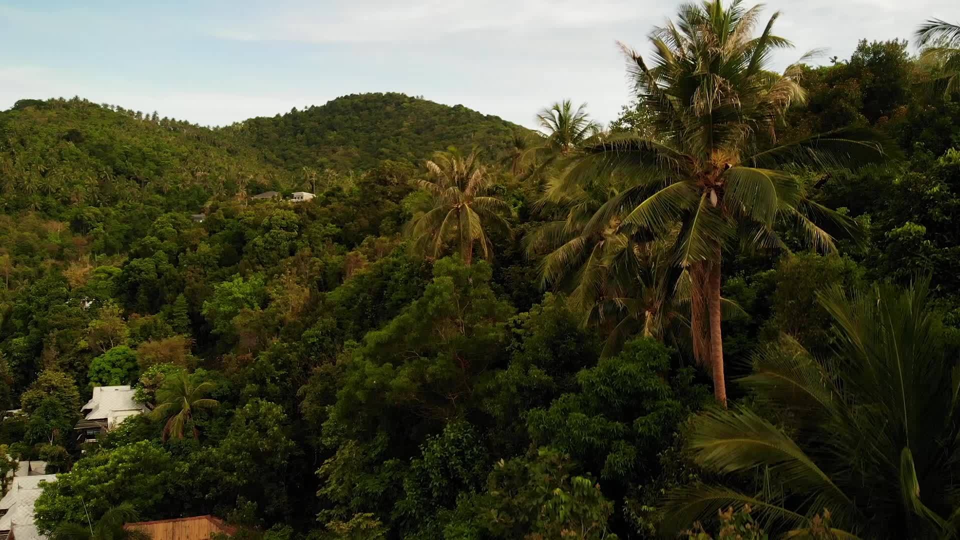 雄伟的无人机景观位于热带天堂外国岛屿的绿色山脉上的豪华别墅视频的预览图