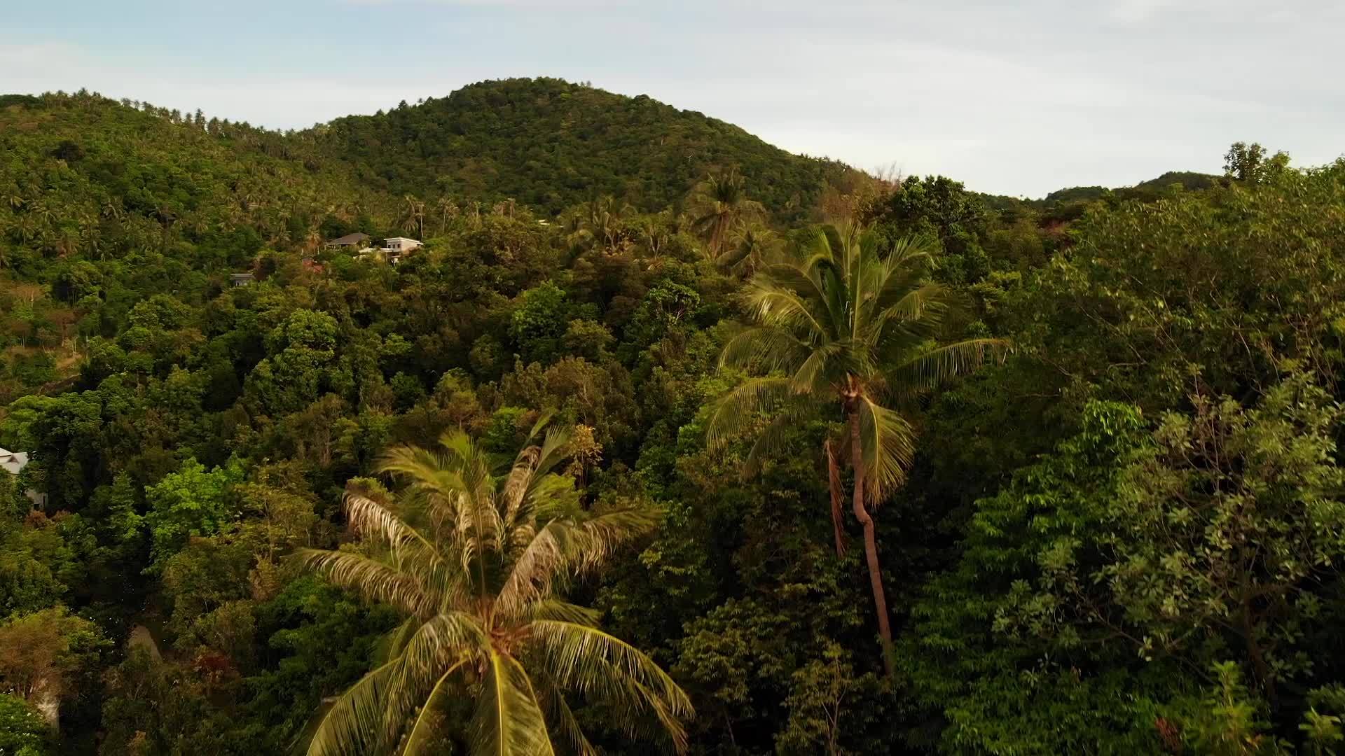 青山上的别墅雄伟的无人机景观别墅位于热带天堂的异国情调岛屿的绿色山脉上视频的预览图