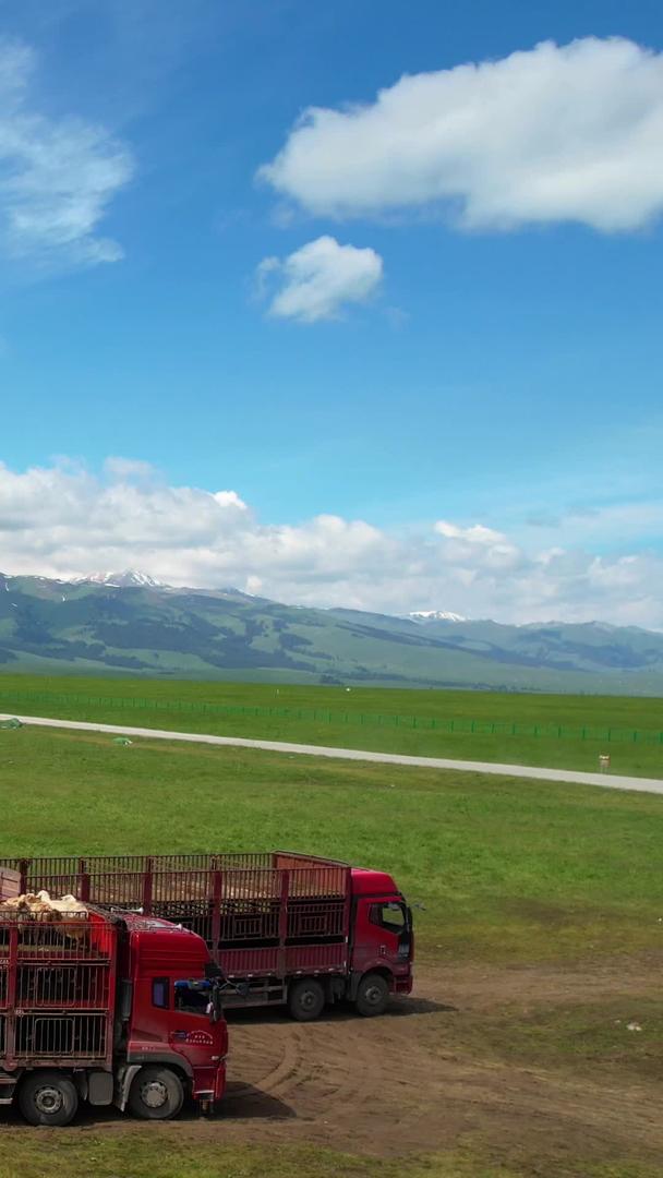 航拍5A景区那拉提草原夏季牧民转场放牧视频视频的预览图