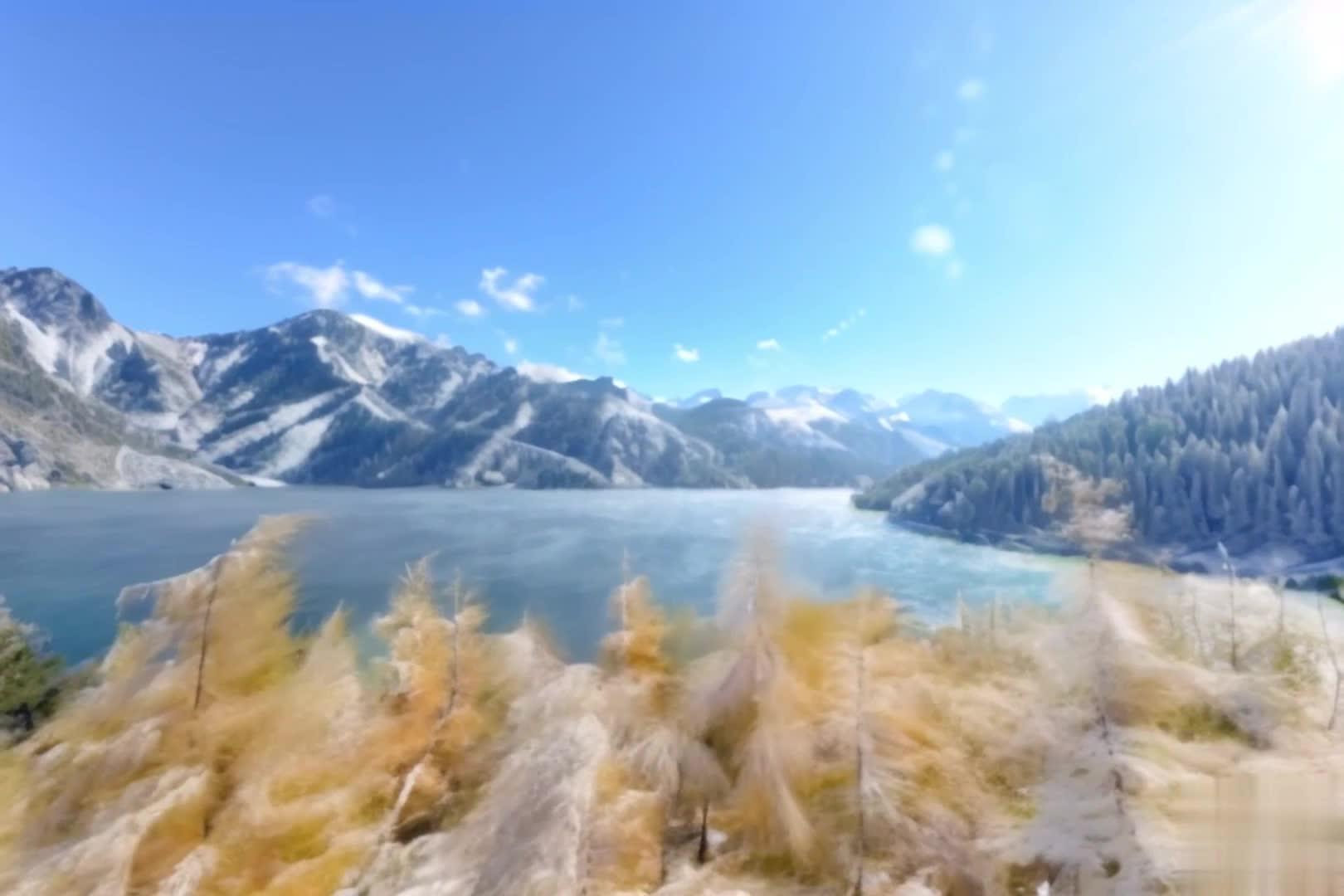 【收藏】冬季湖泊雪地芦苇枯树背景视频视频的预览图
