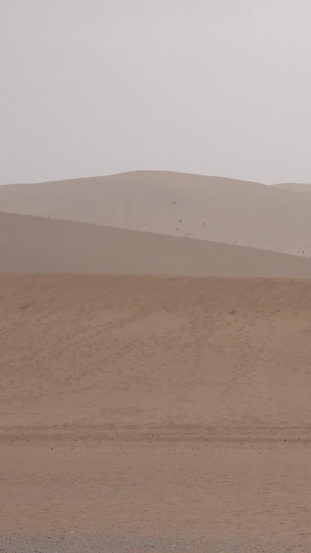 骆驼在甘肃敦煌沙漠中视频的预览图