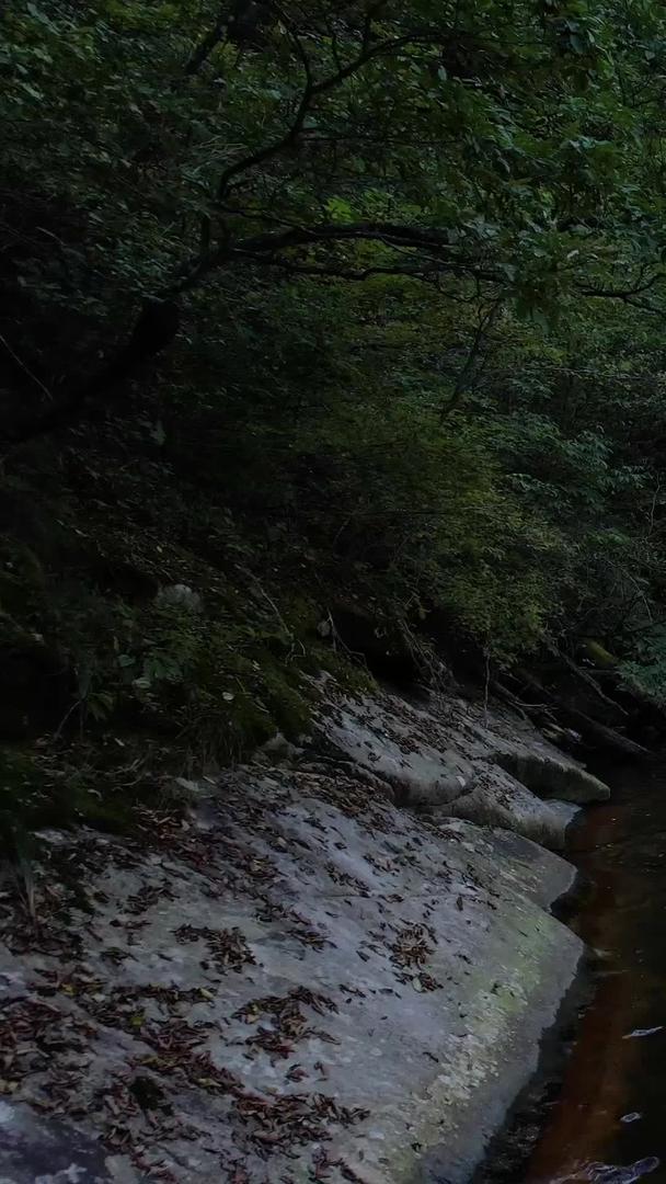 航拍5A安徽天堂寨瀑布群景区泻玉瀑视频视频的预览图