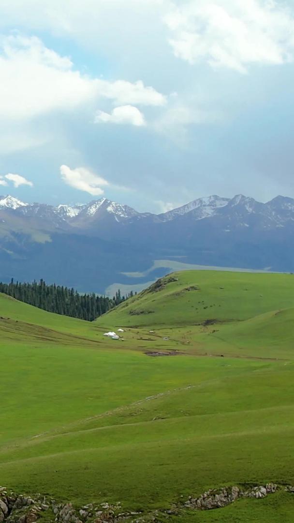 喀拉峻夏季航拍5A景区绿色草原和天山雪山风光视频视频的预览图