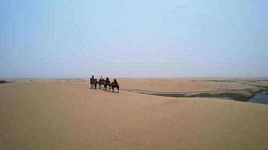 新疆旅游自然风光罗布泊沙漠骑骆驼游客4k素材视频的预览图