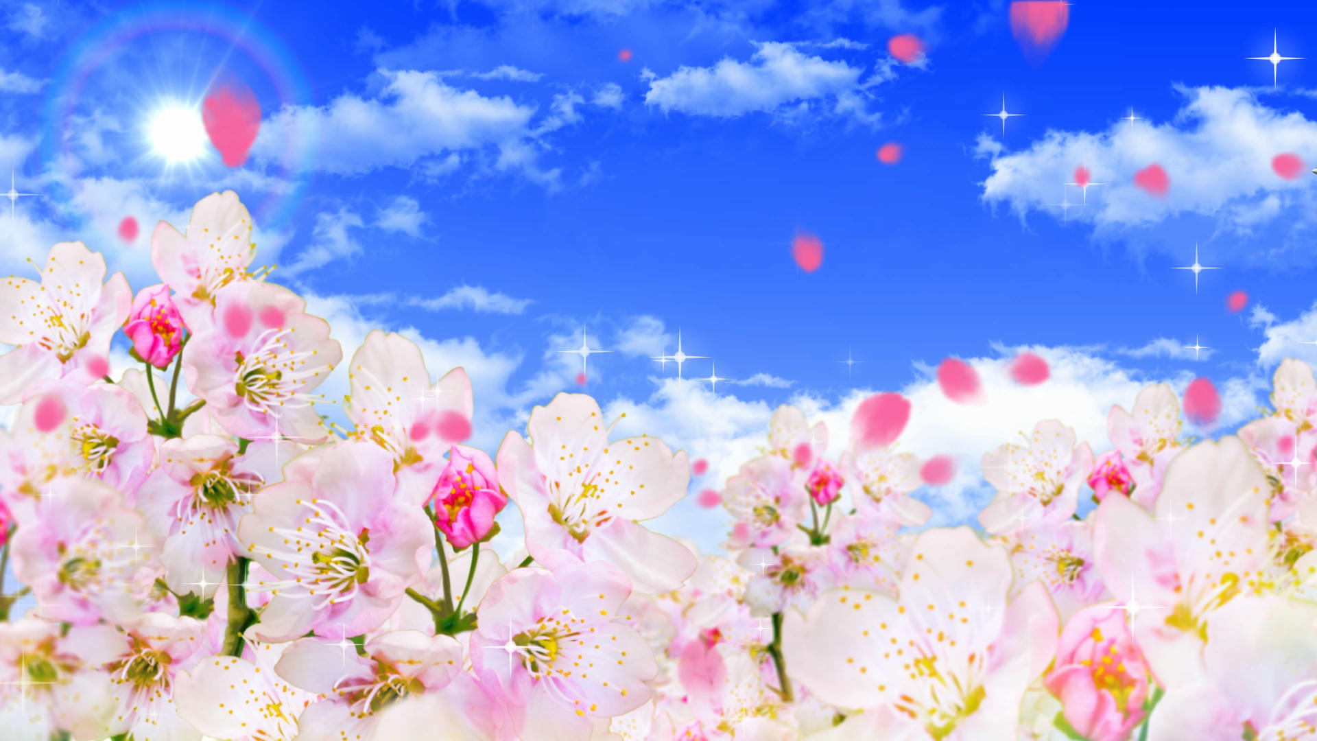 4K唯美的樱花穿梭视频素材视频的预览图