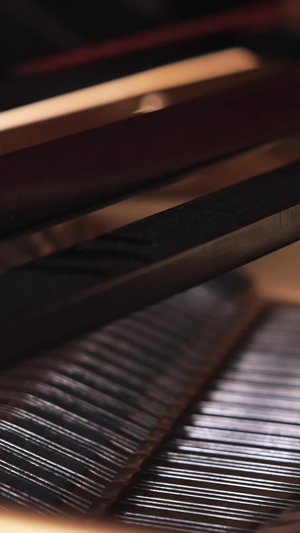 钢琴内部结构特写视频的预览图