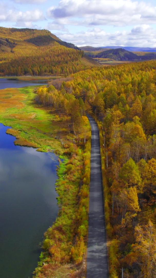 内蒙古阿尔山国家森林公园视频的预览图