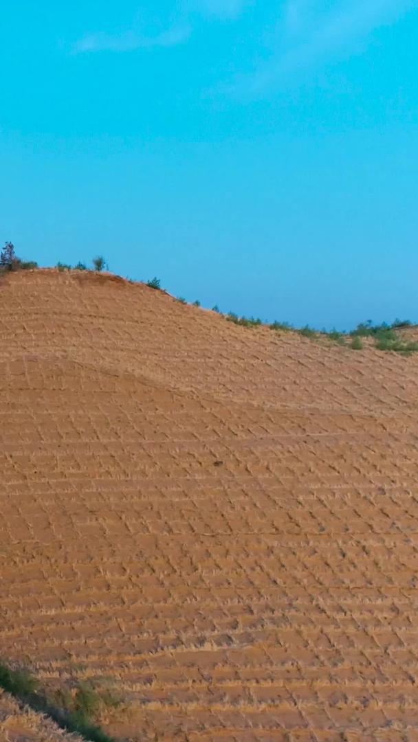 沙漠地区治沙航拍视频的预览图
