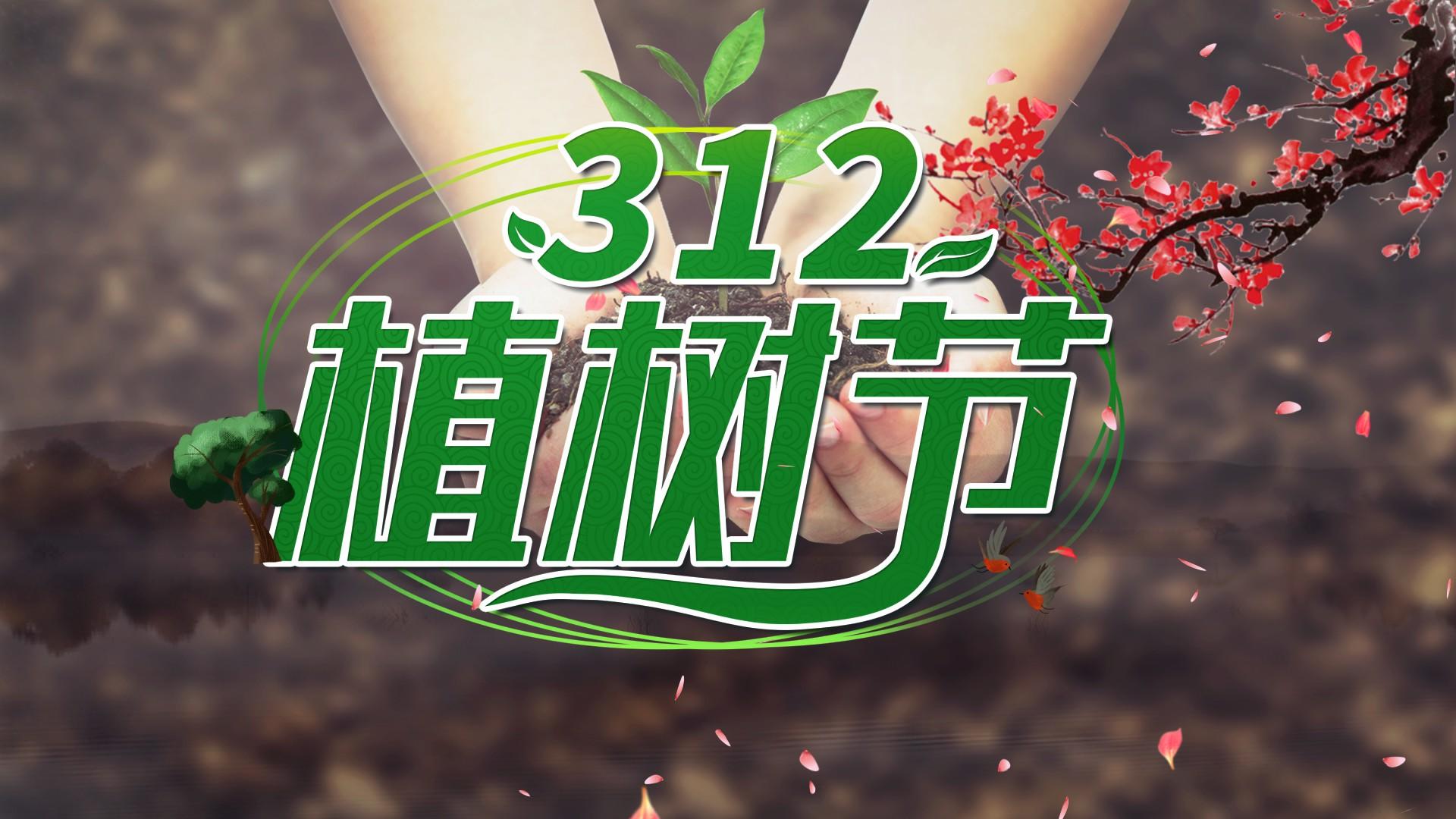 中国风水墨312植树节保护地球AE模板视频的预览图