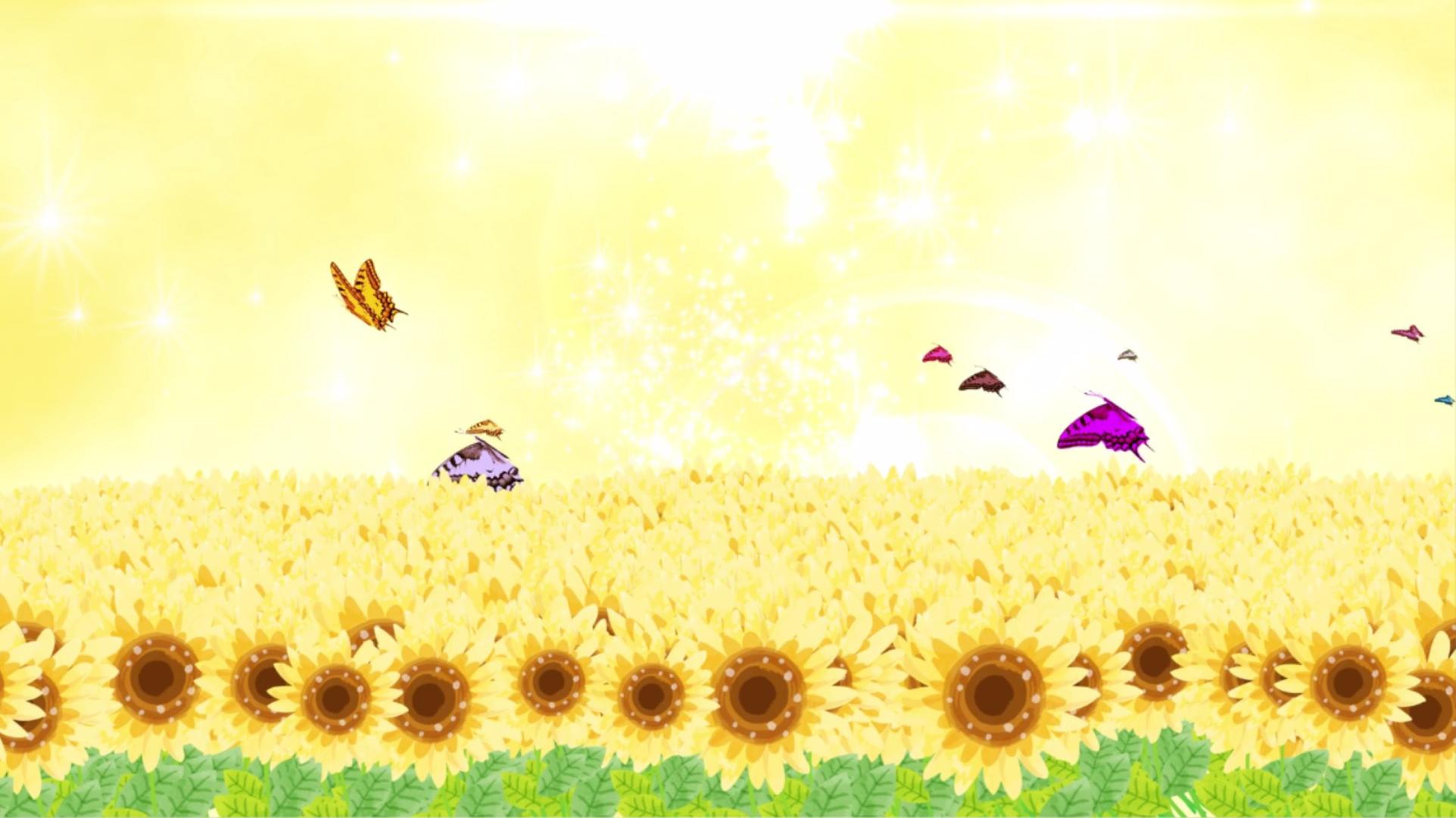 金色向日葵背景视频视频的预览图