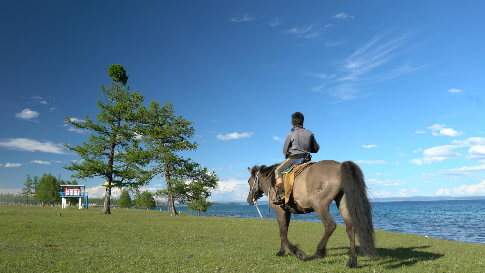少年骑马4K视频的预览图