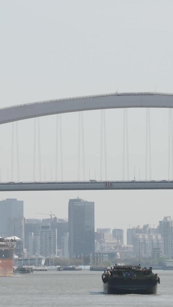 卢浦大桥和货轮视频的预览图