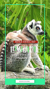 简洁世界动物日竖版海报AE模板宣传视频的预览图