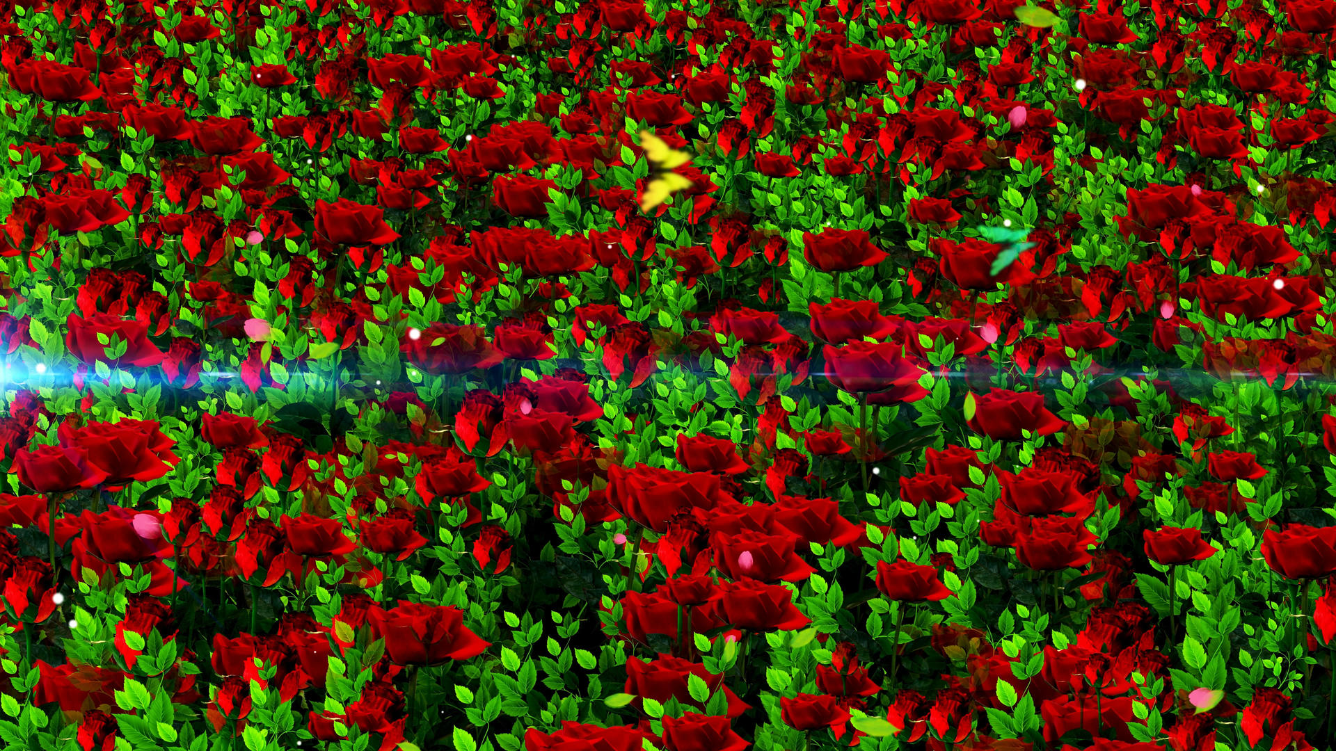 4K唯美的玫瑰花背景视频素材视频的预览图