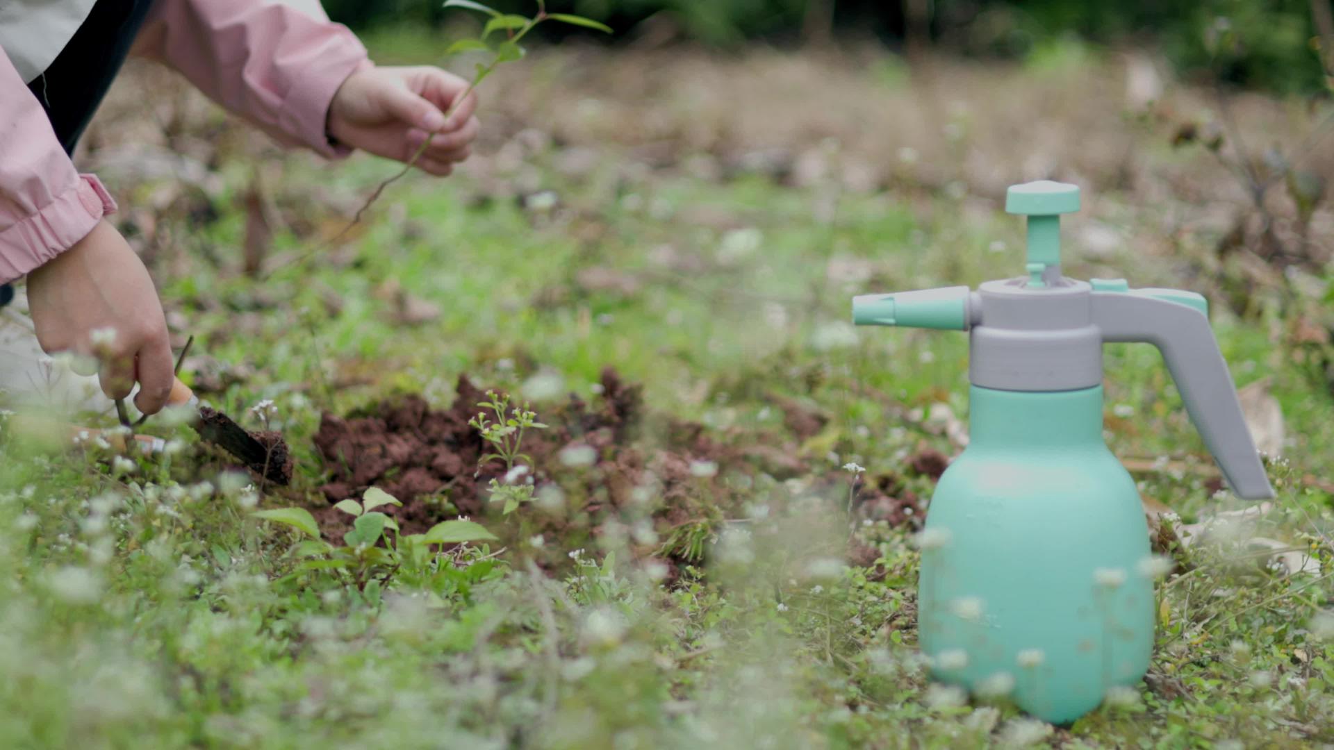 植树节种树节4K视频素材视频的预览图