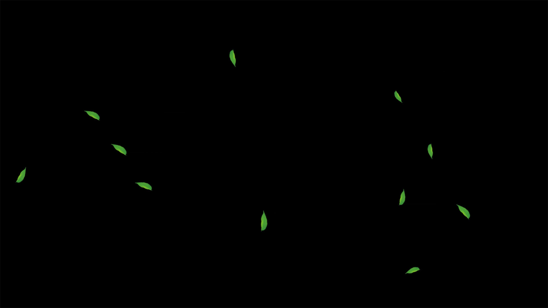 绿叶飘落元素带透明度通道视频的预览图