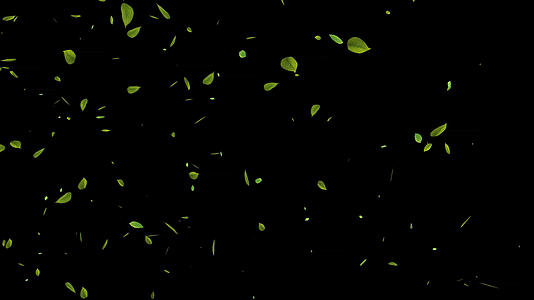 绿色树叶飘落视频素材视频的预览图