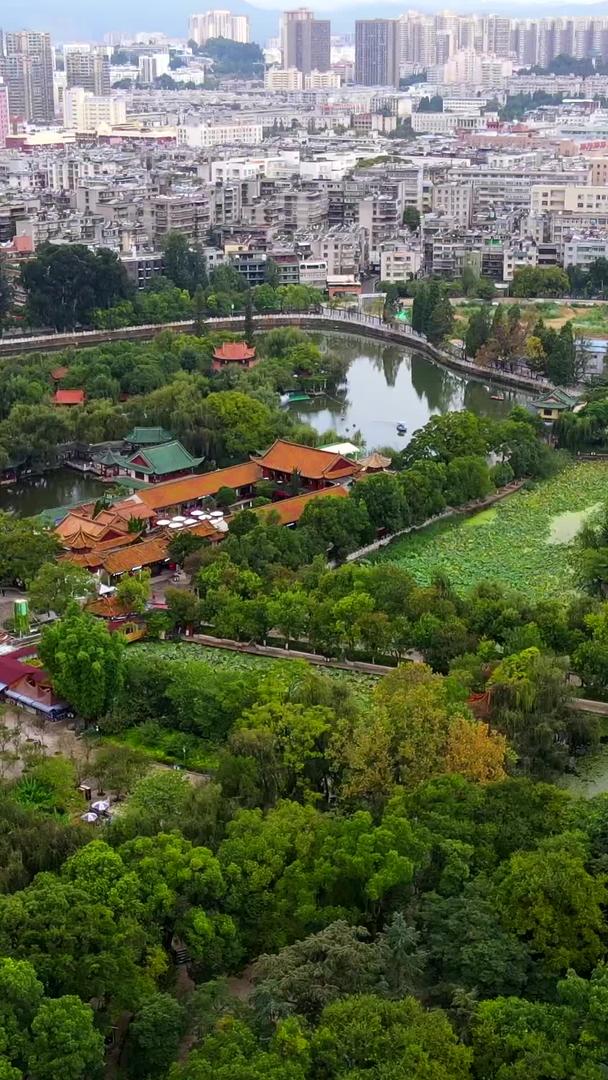 云南昆明翠湖风景区风景名胜视频的预览图