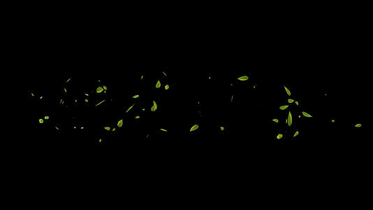 绿色树叶飘过视频素材视频的预览图