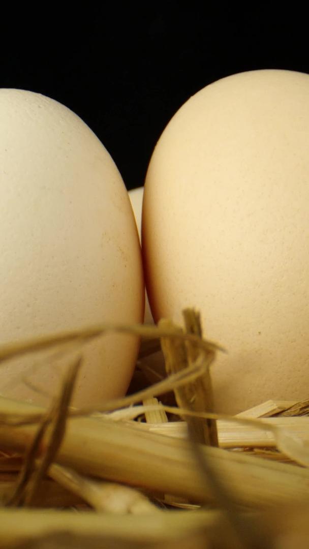 鸡蛋土鸡蛋干草蛋黄散养鸡蛋视频的预览图