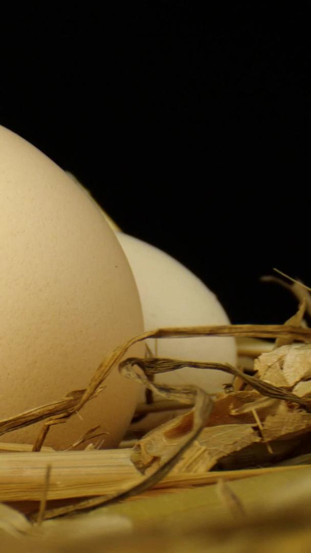鸡蛋土鸡蛋干草蛋黄散养鸡蛋视频的预览图