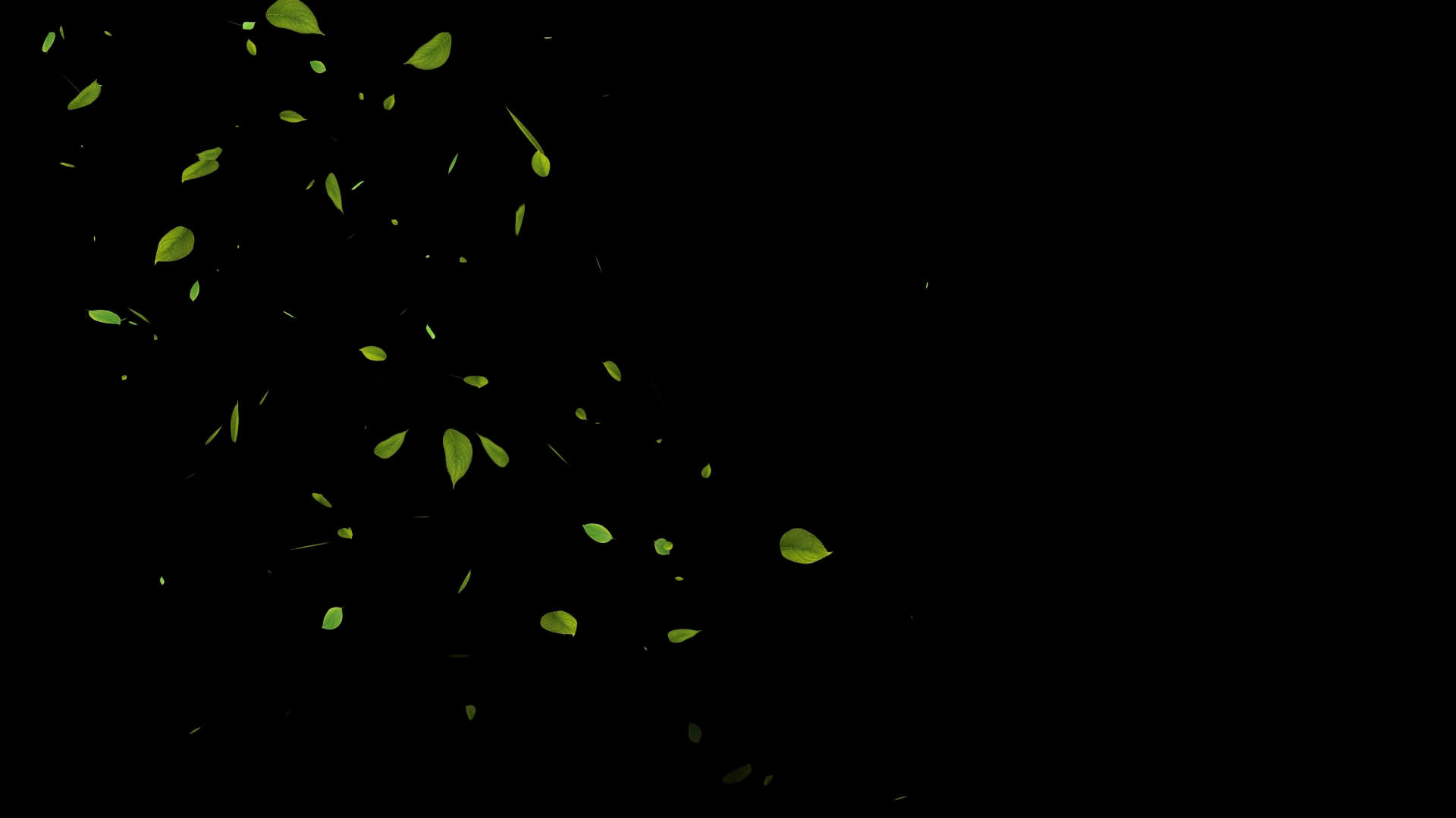 落叶飘落视频素材视频的预览图