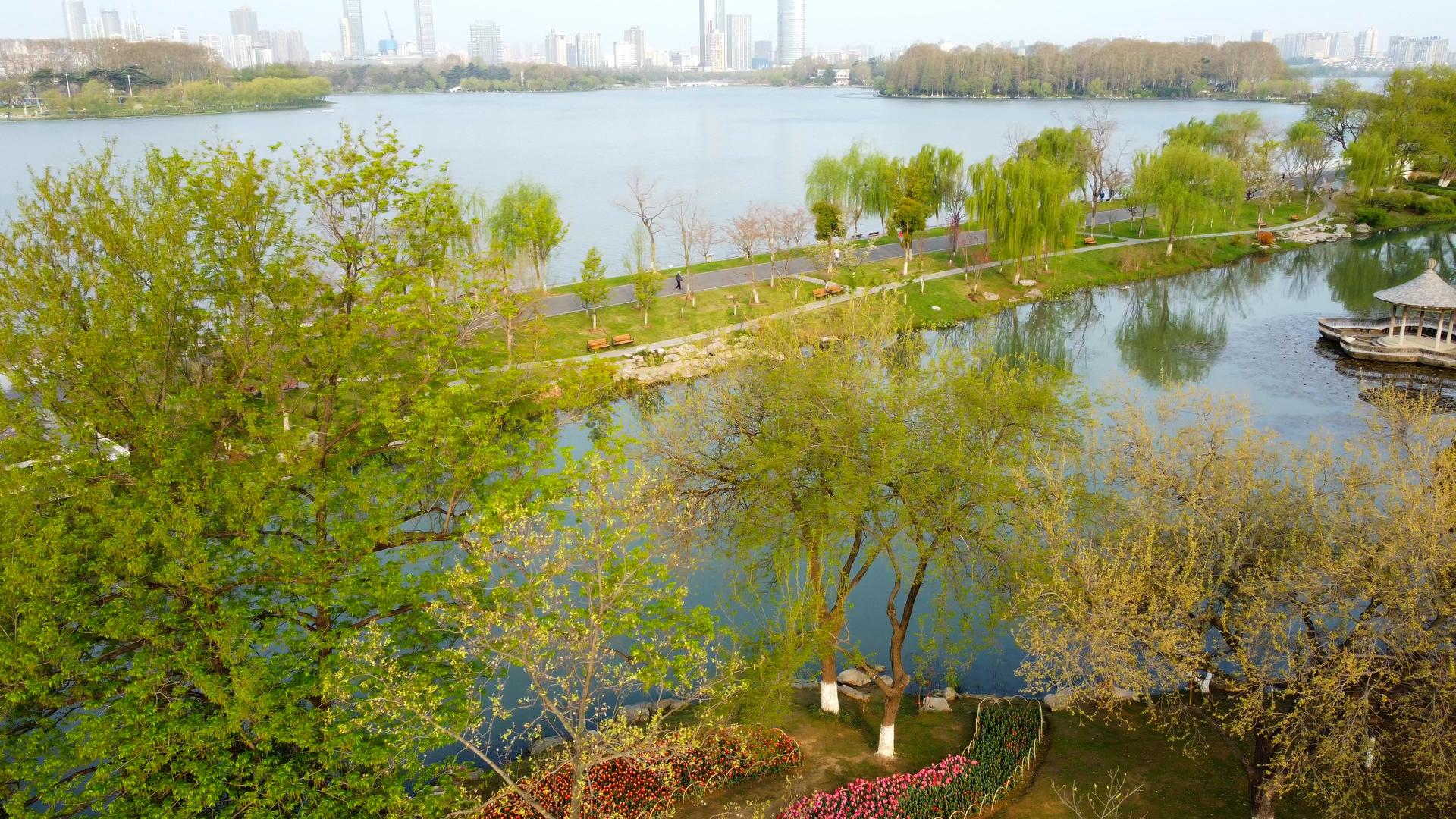 南京玄武湖4A景区春天航拍视频的预览图