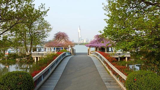 南京4A景区玄武湖春天航拍视频的预览图