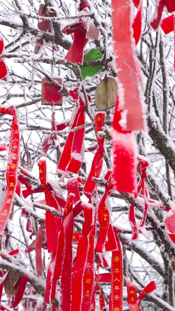 红色平安福福挂在游客雪地里视频的预览图