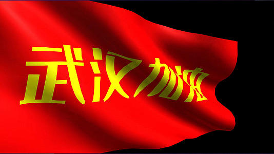 4K武汉加油旗帜动画元素带透明度通道视频的预览图