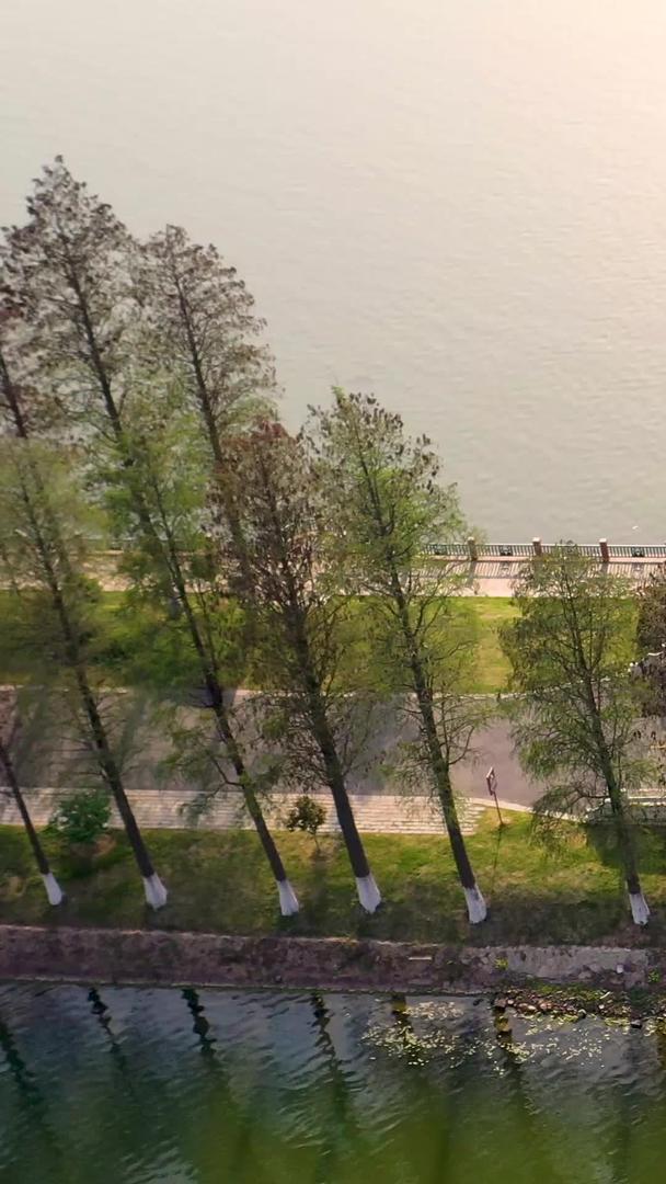 武汉东湖绿道小桥和户外运动员在夕阳下航拍视频的预览图