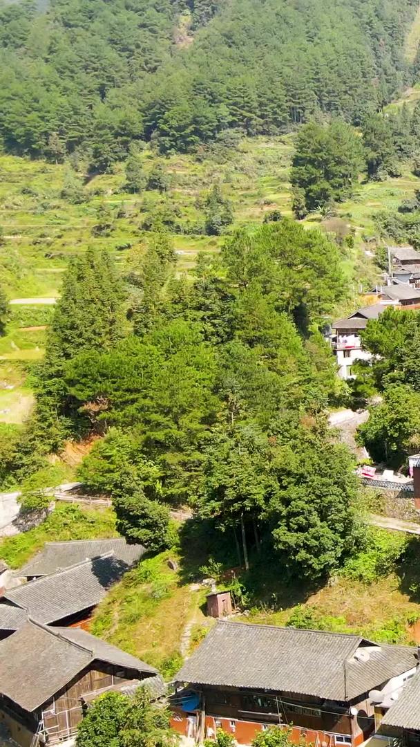 贵州南花苗族旅游景点视频的预览图
