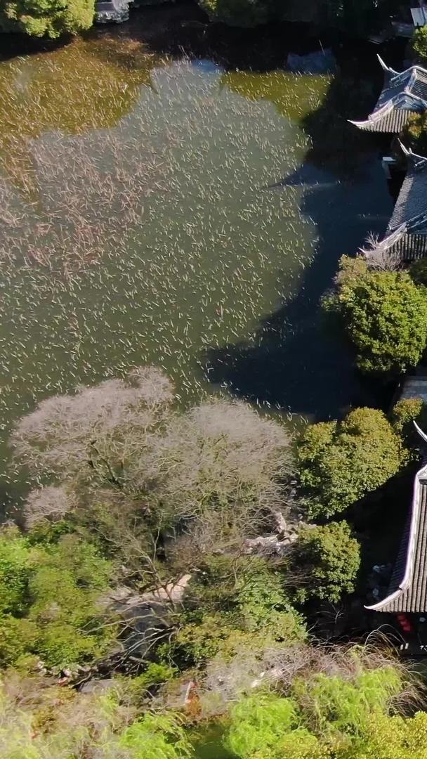 俯拍5A湖州南浔古镇景区小莲庄视频视频的预览图
