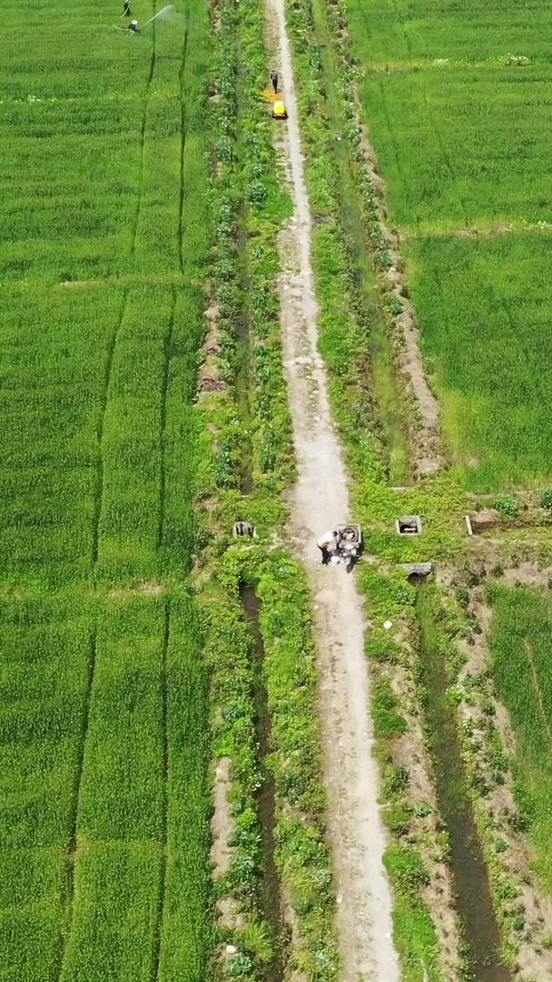 在航拍农田里撒农药视频的预览图