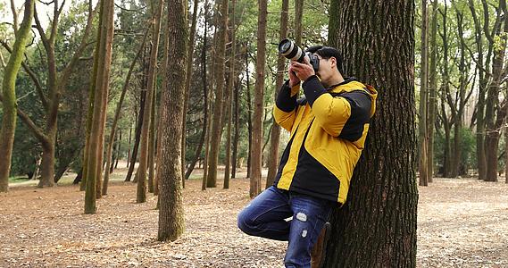 靠树拍照片的摄影师视频的预览图