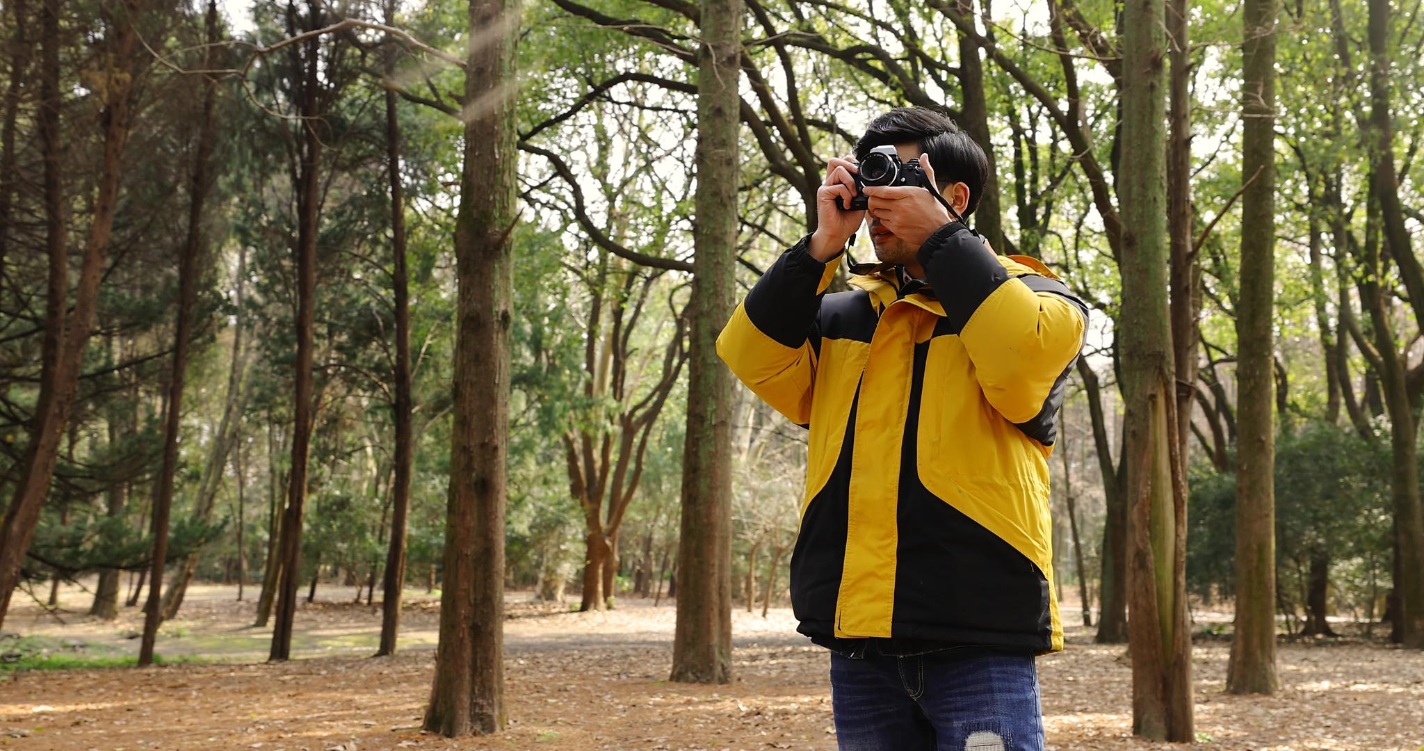 树林里的摄影爱好者视频的预览图