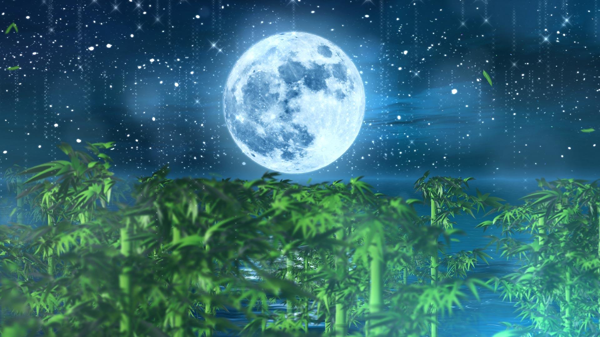 唯美月亮竹林合成背景视频视频的预览图