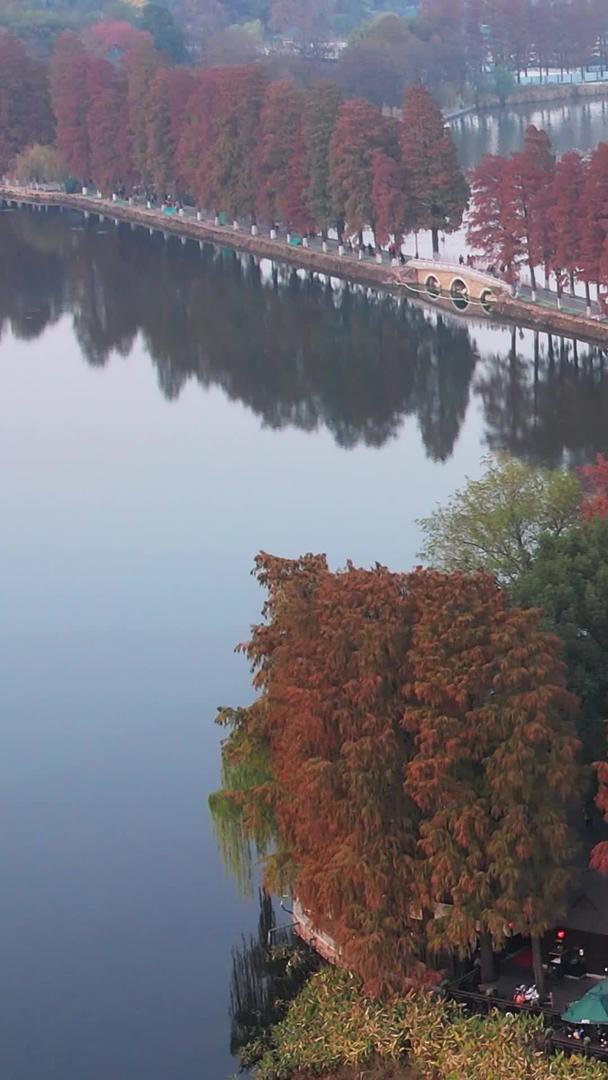 航拍城市秋季自然风光公园绿道湖景素材视频的预览图