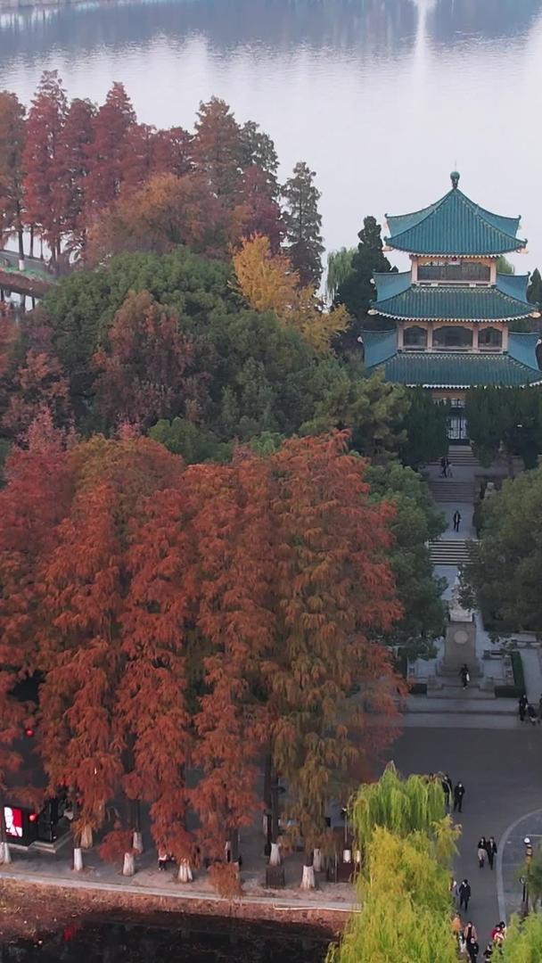 航拍城市秋季自然风光公园绿道湖景素材视频的预览图