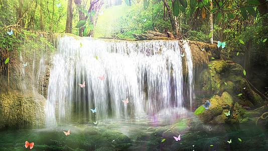 动态丛林瀑布流水落叶蝴蝶视频背景元素视频的预览图