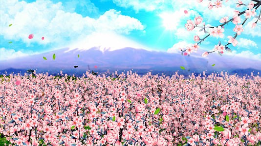 4K樱花背景素材视频的预览图