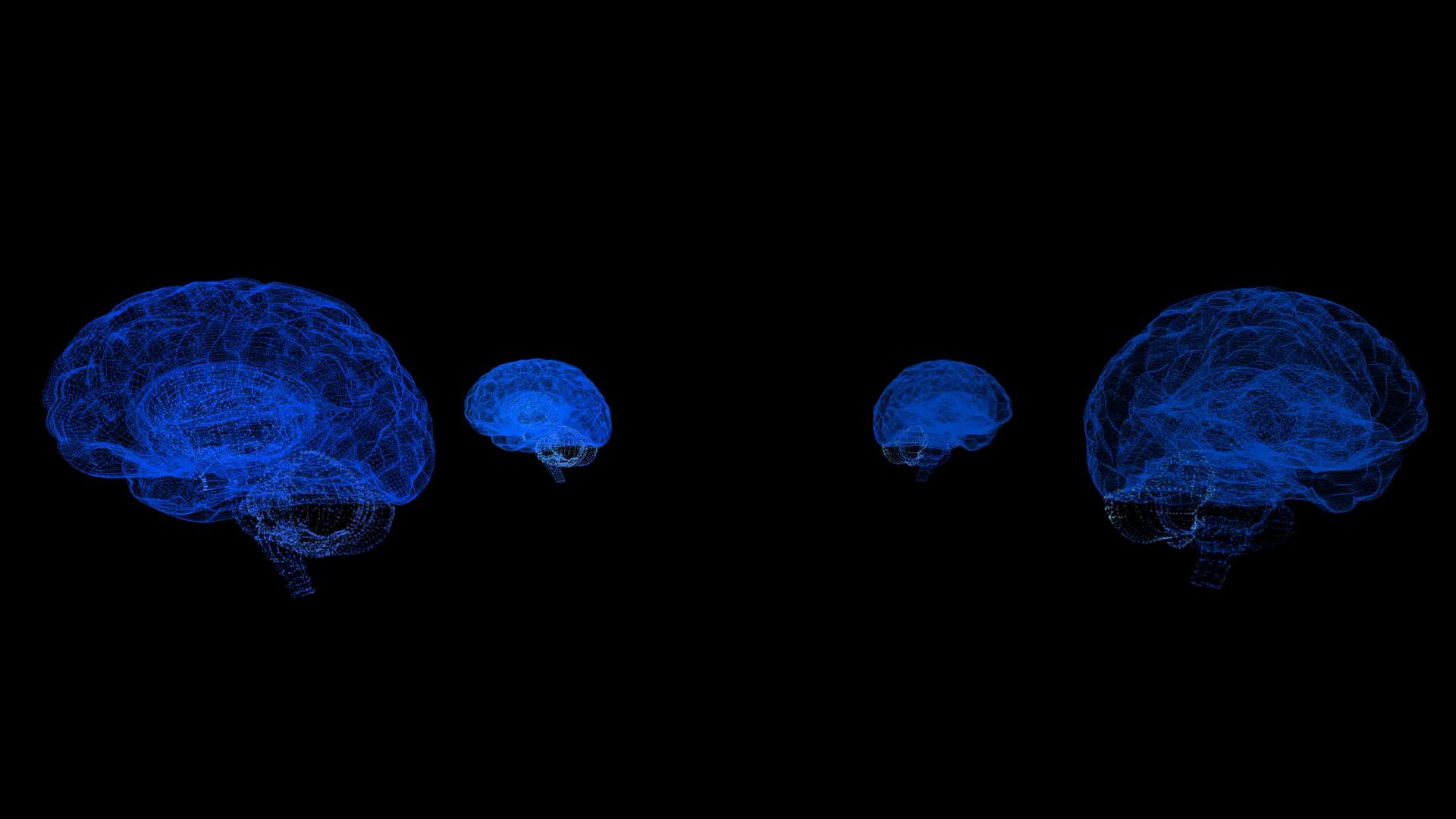 4k全息粒子大脑视频的预览图