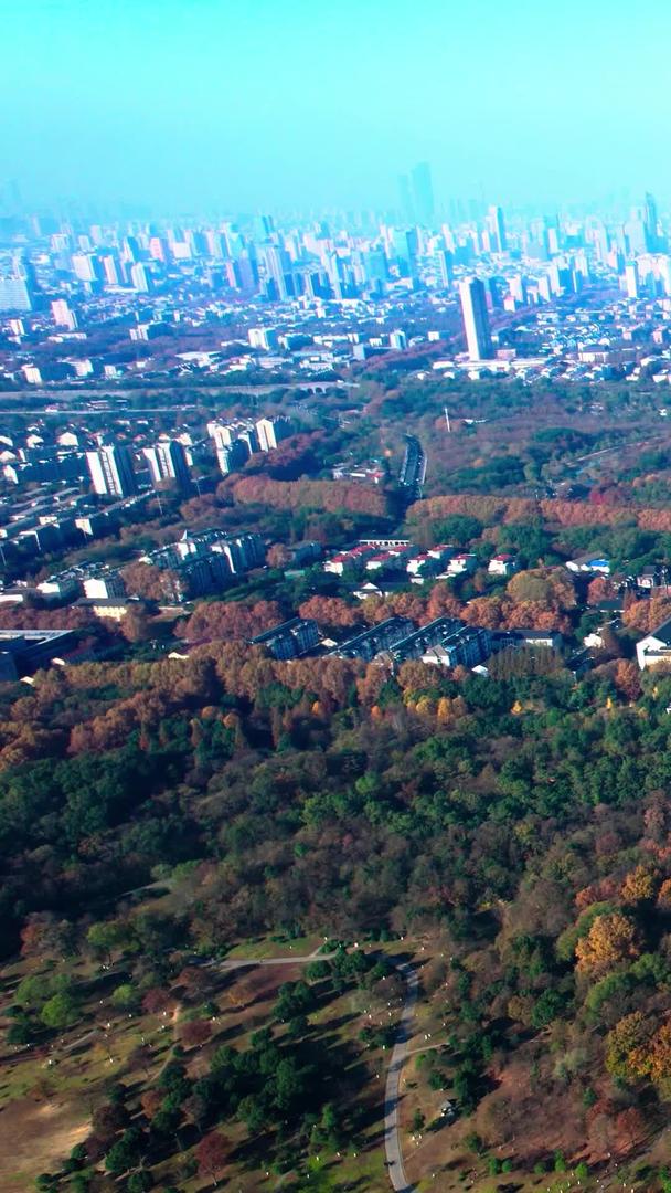 秋季航拍风景南京中山陵美龄宫视频的预览图