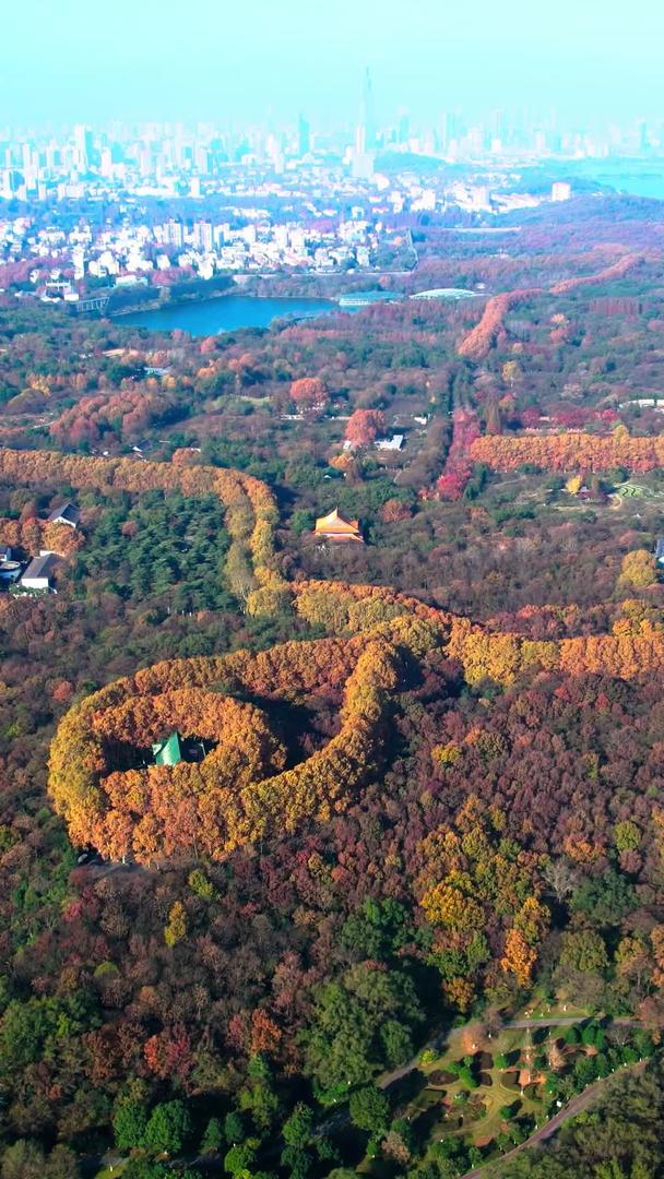 秋季航拍风景南京中山陵美龄宫视频的预览图